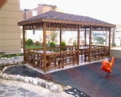Kırçiçeği Kamelya